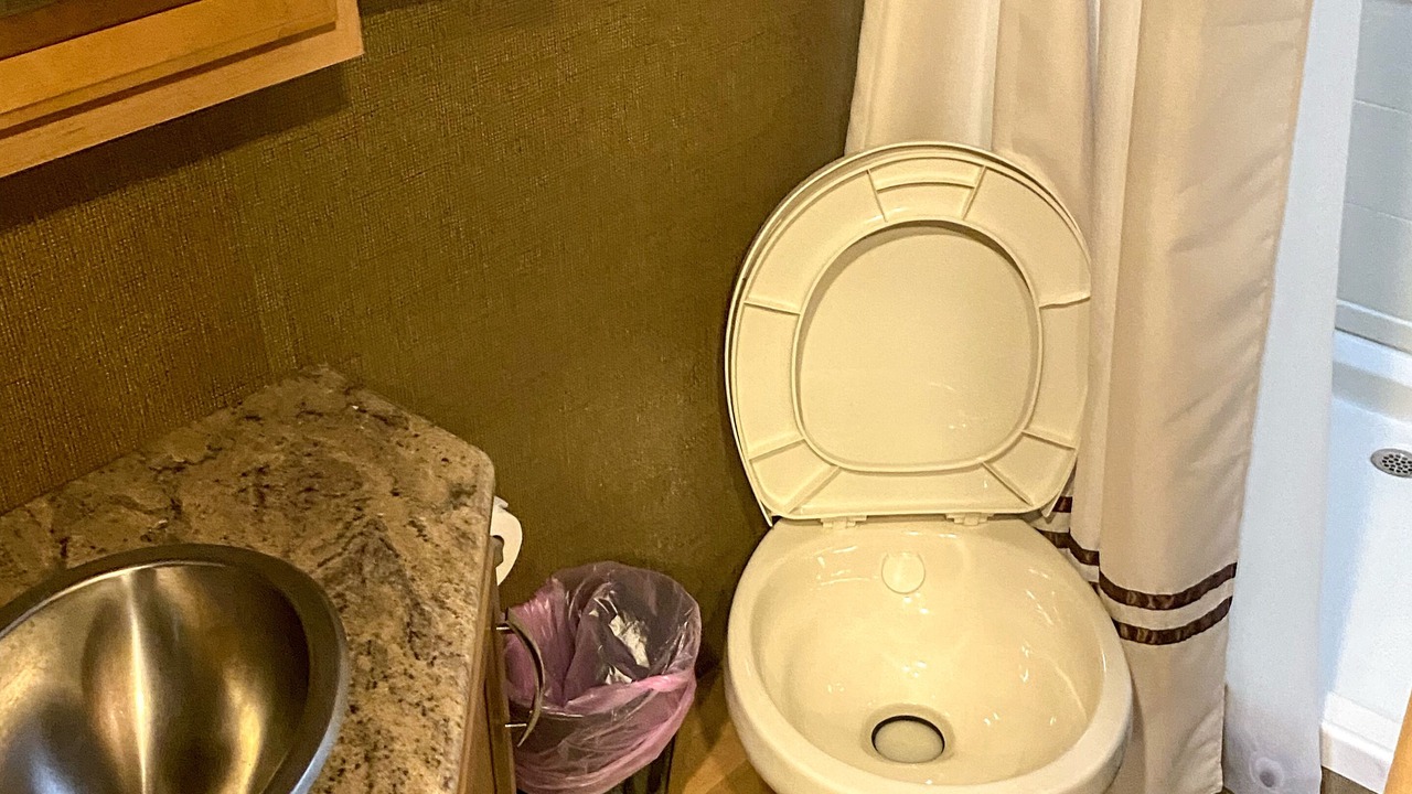 Photo of Bathroom in Greater Pinellas Point