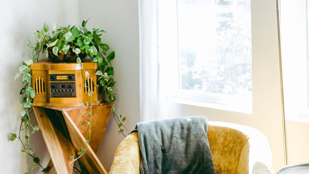 Photo of Livingroom in Springfield