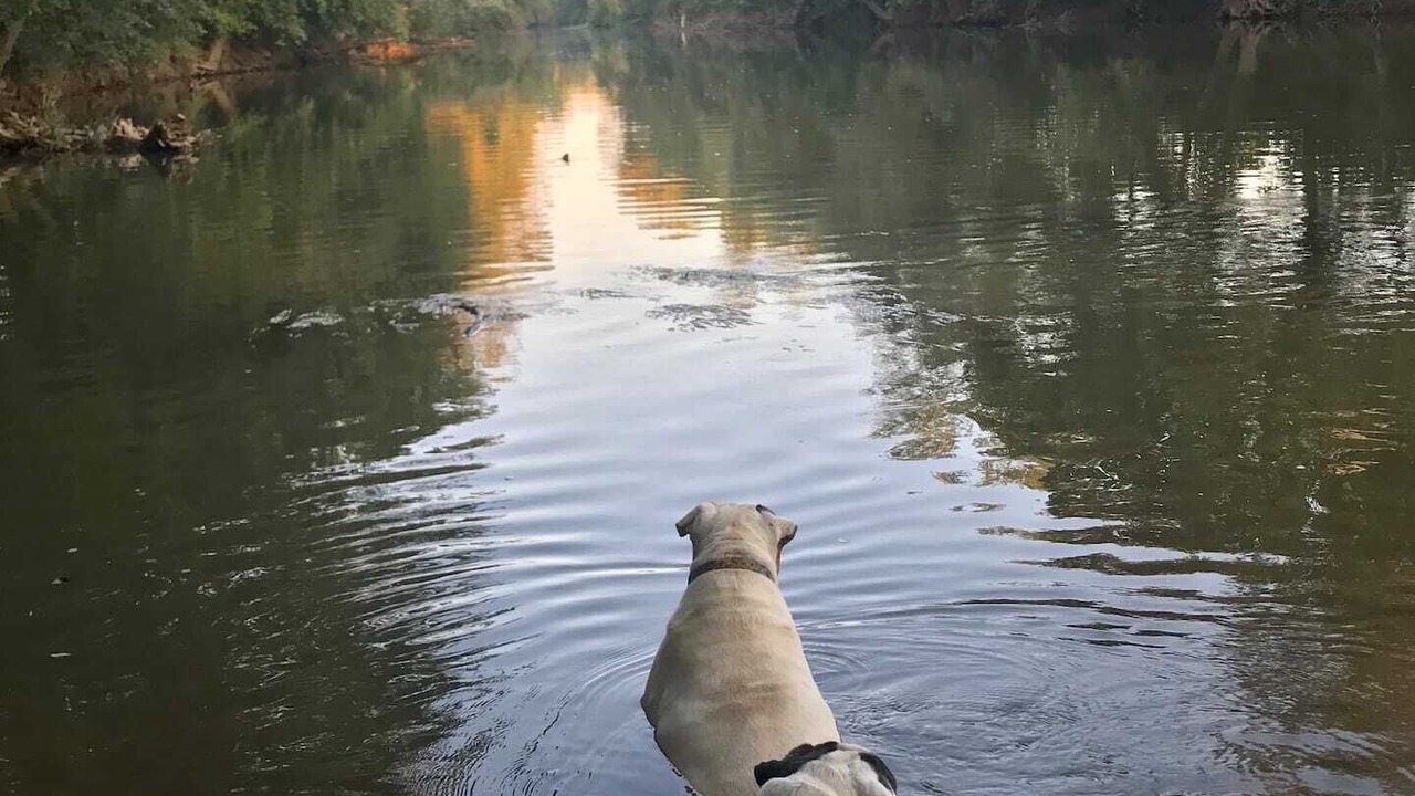 Photo of Others in Fayetteville