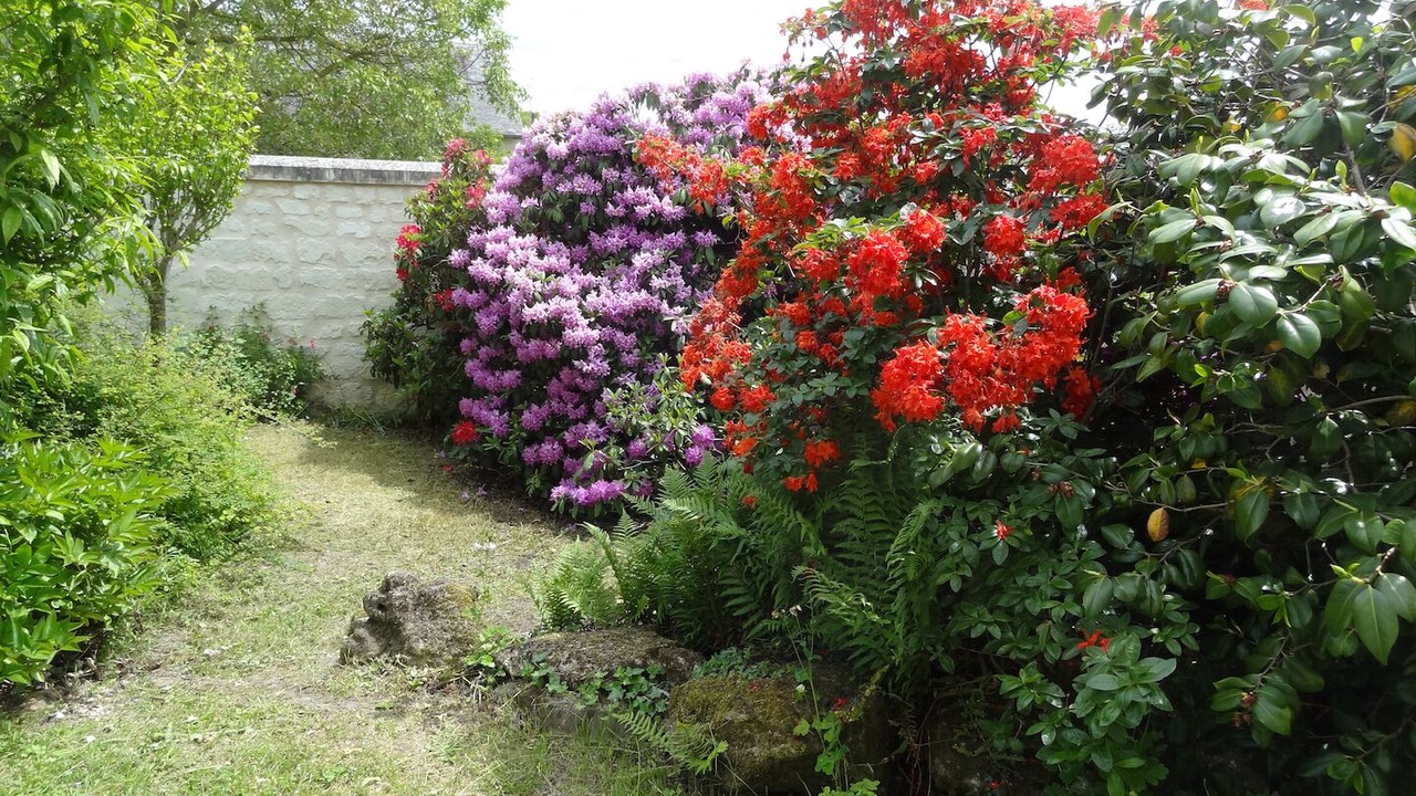 Photo of Outdoor in Beaumont-en-Veron