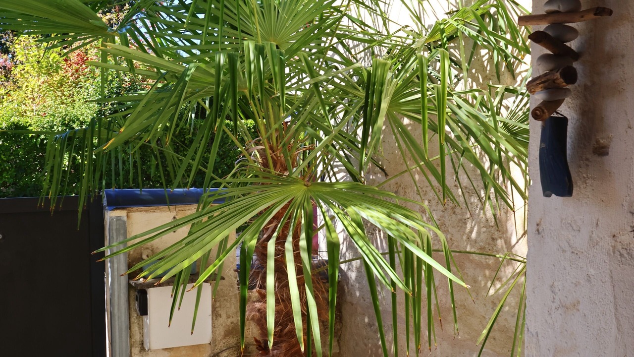 Photo of Outdoor in Lormont