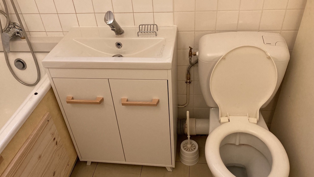 Photo of Bathroom in Laveissiere