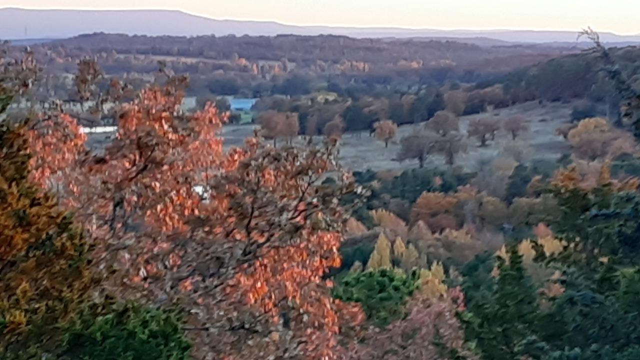Photo of Outdoor in Alix