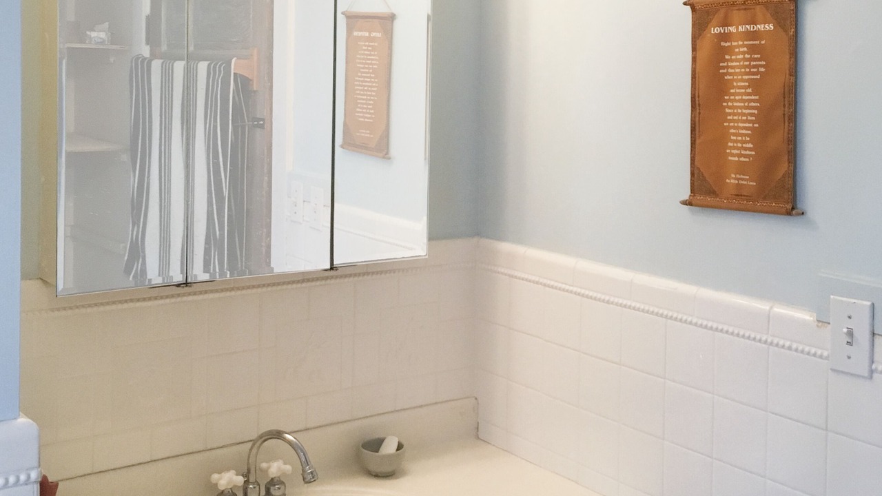 Photo of Bathroom in Red Hook