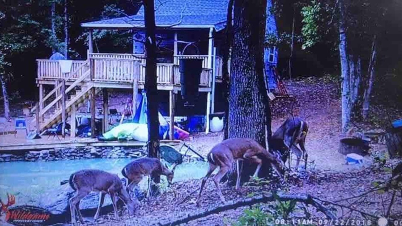 Photo of Outdoor in Charlotte