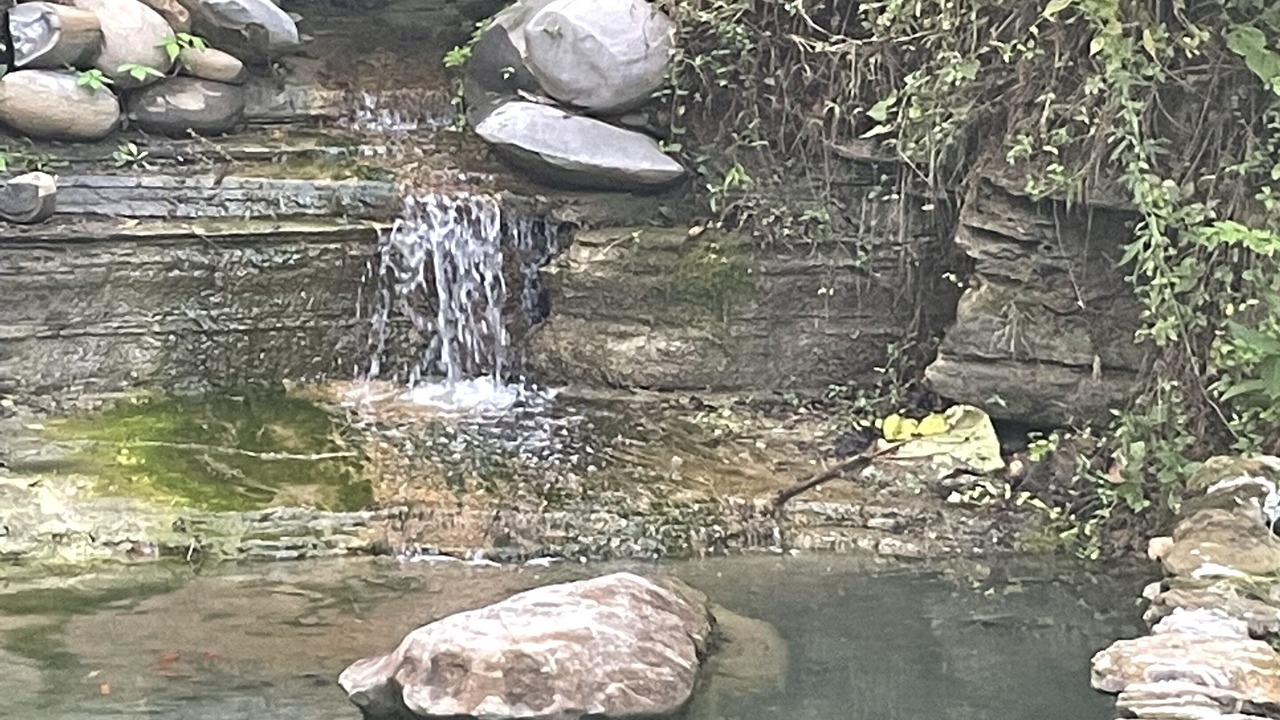 Photo of Outdoor in Charlotte