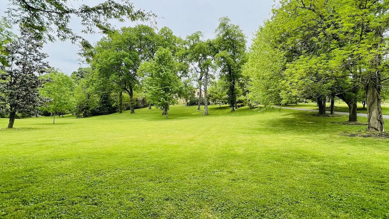 Photo of Others in Brentwood