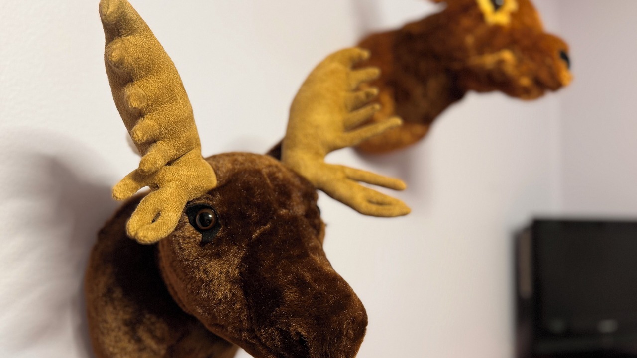 Photo of Others in Hunter