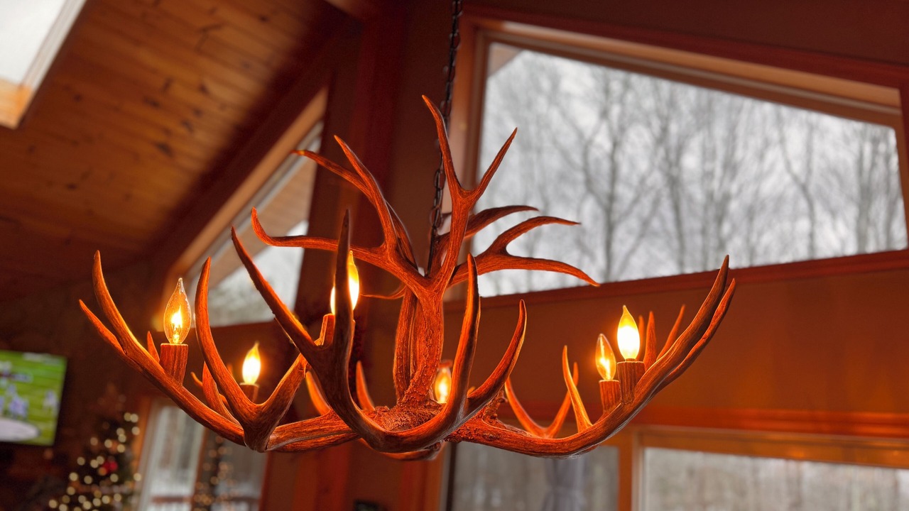 Photo of Others in Hunter