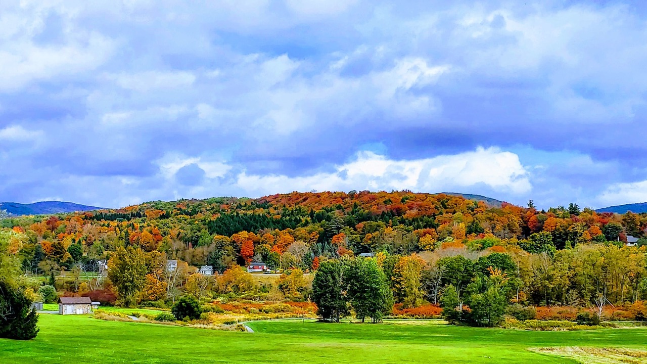 Photo of Others in Hunter