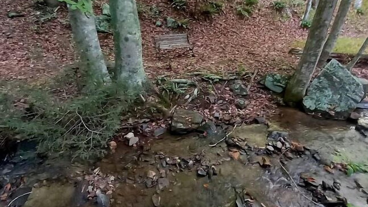Photo of Outdoor in Green Mountain