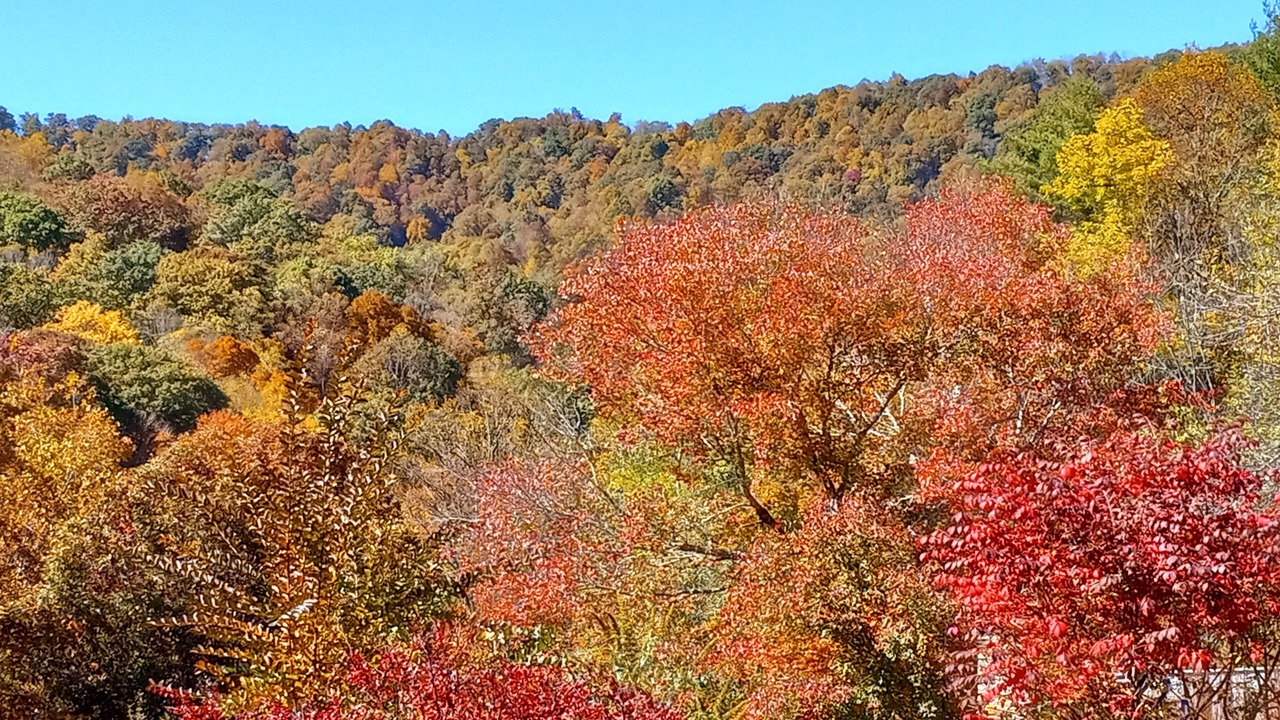 Photo of Outdoor in Green Mountain