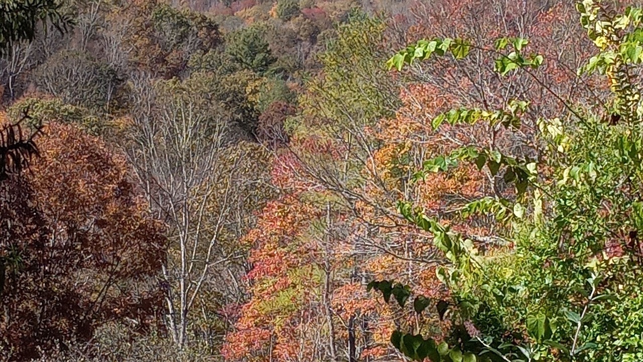 Photo of Others in Green Mountain