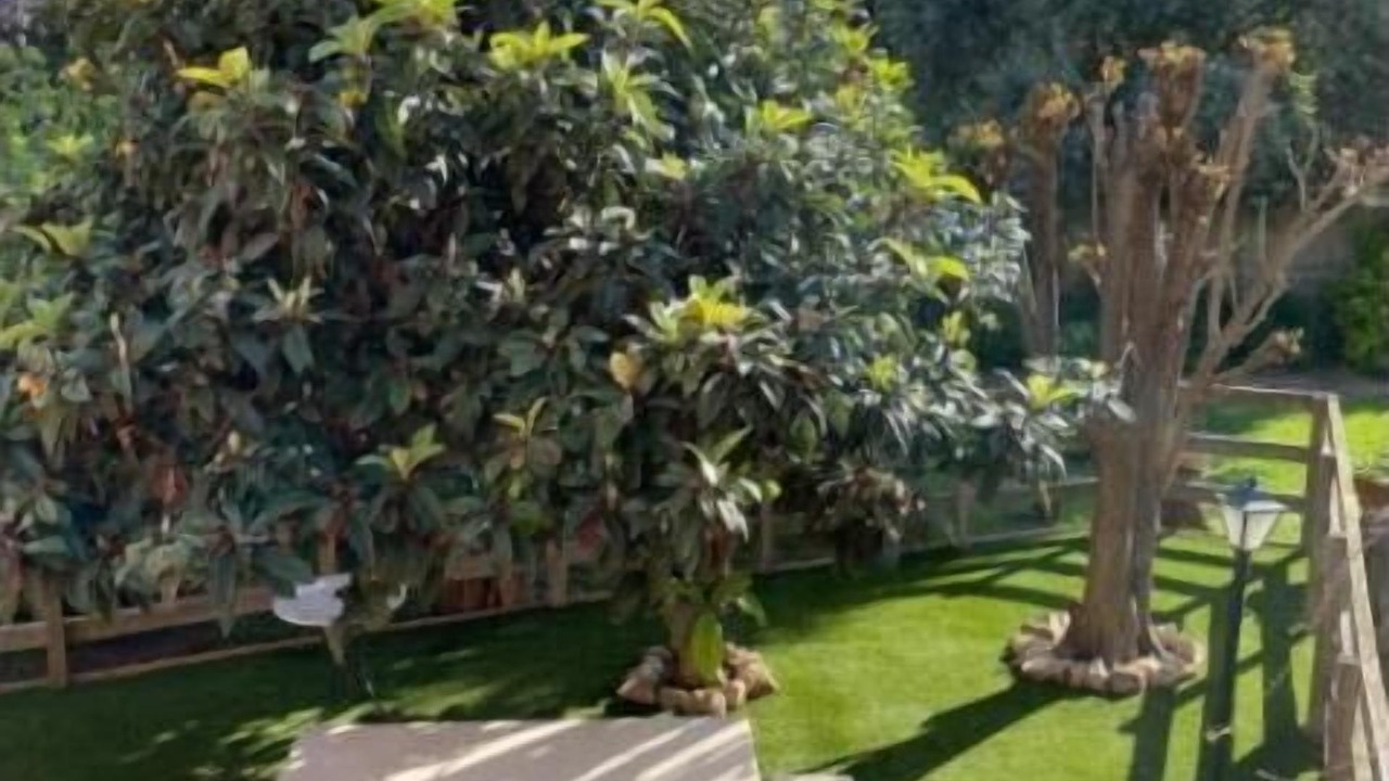 Photo of Outdoor in Platja d'Aro