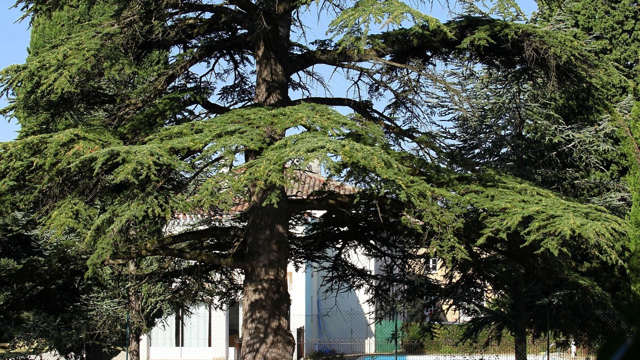 Photo of Others in Airoux