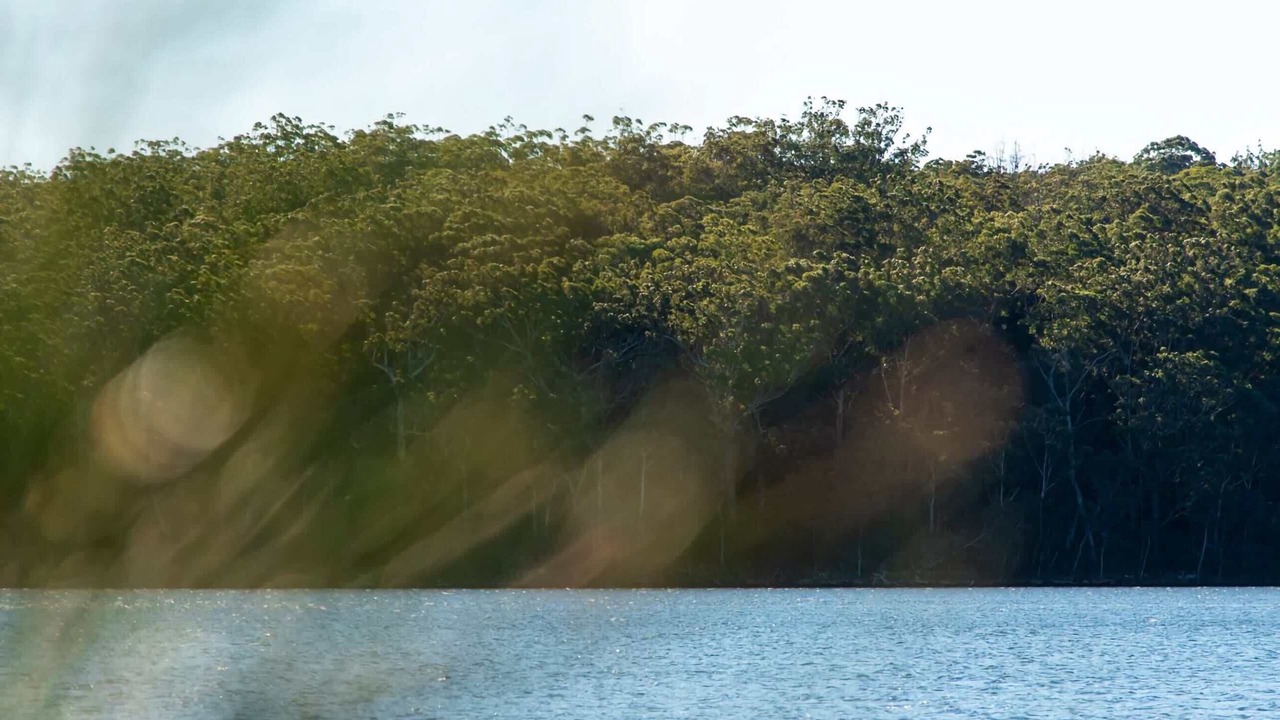 Photo of Others in Kings Point