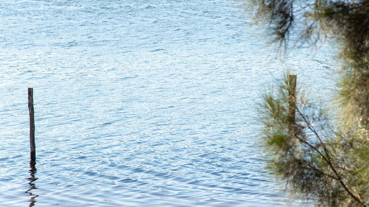 Photo of Others in Kings Point