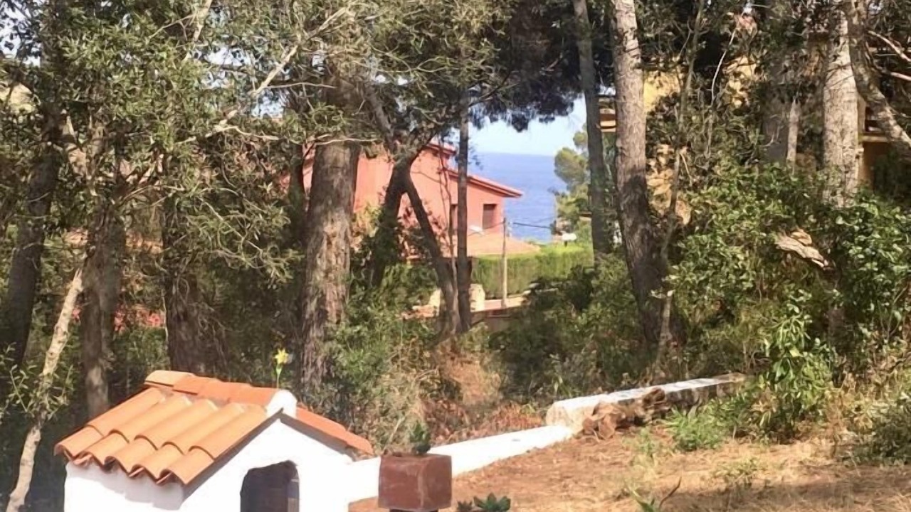 Photo of Outdoor in Tamariu