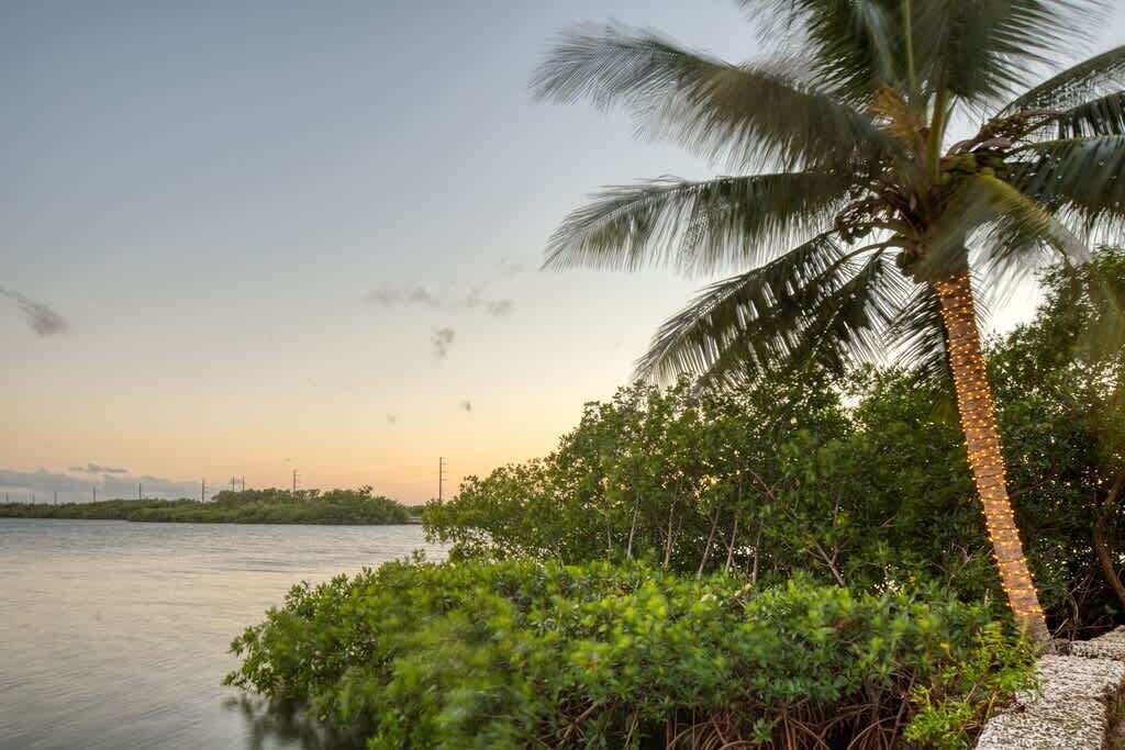 Photo of Others in Key Largo