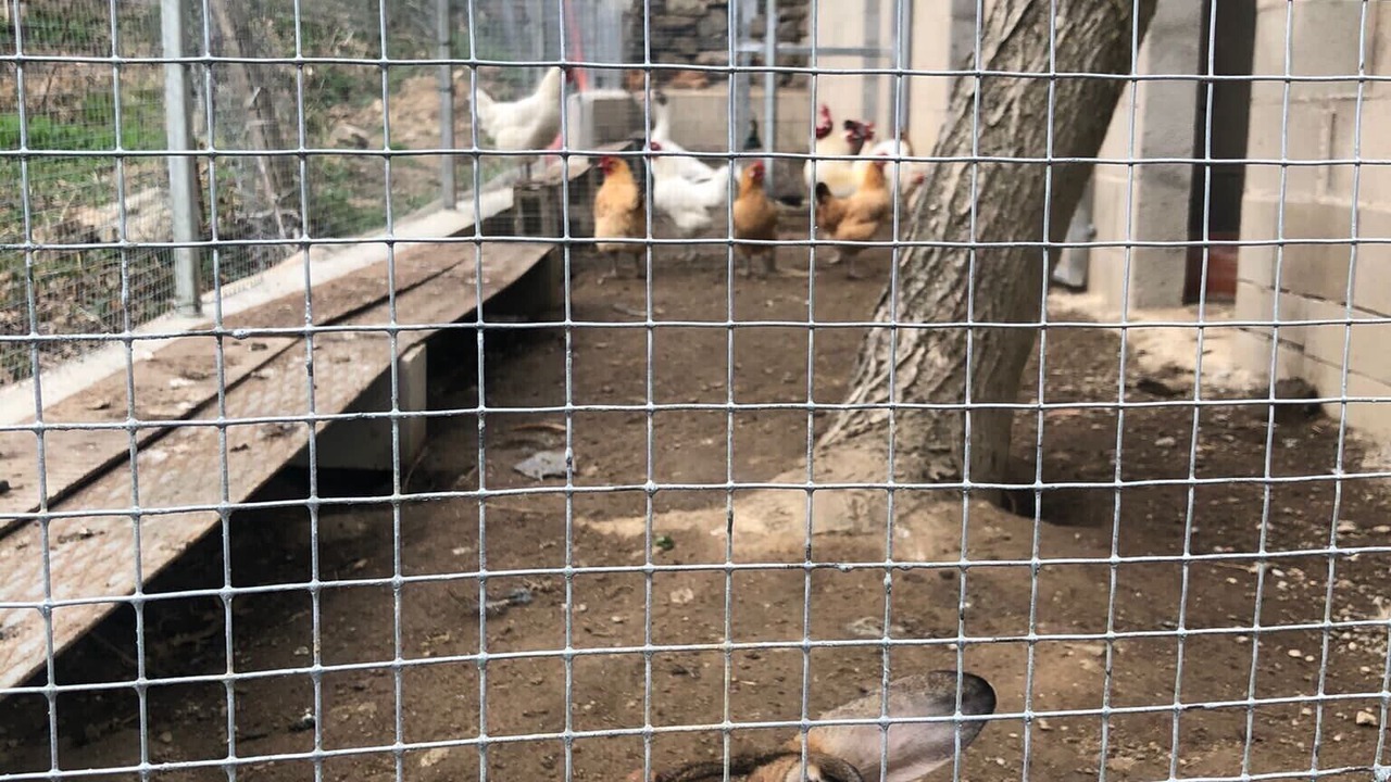 Photo of Others in Arbucies