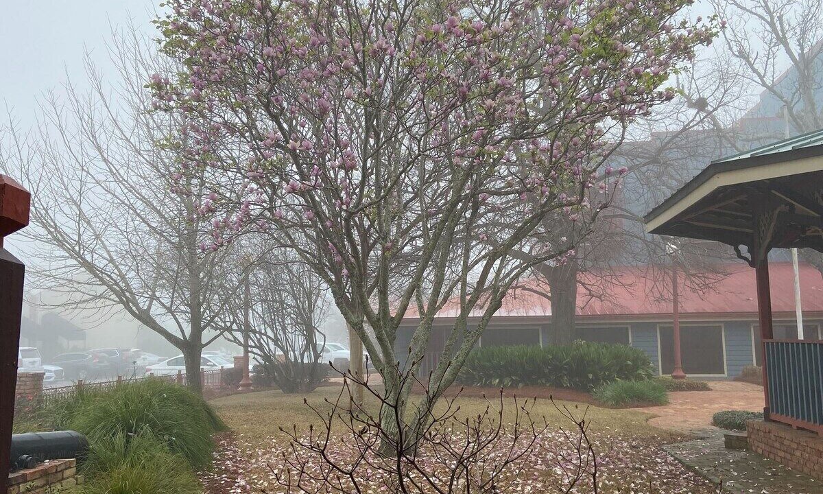 Photo of Outdoor in Columbus