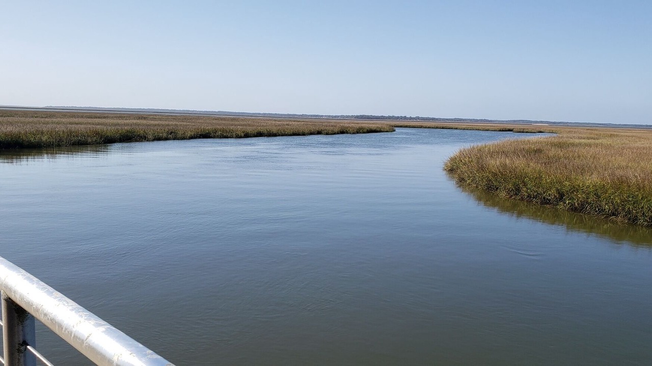 Photo of Others in Fernandina Beach