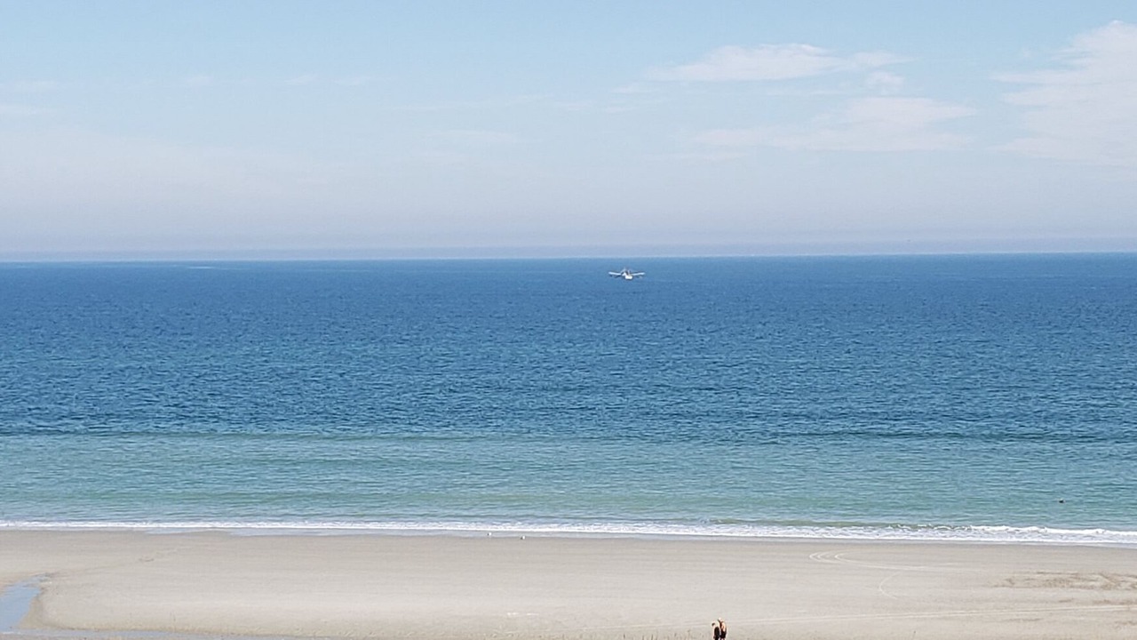 Photo of Others in Fernandina Beach