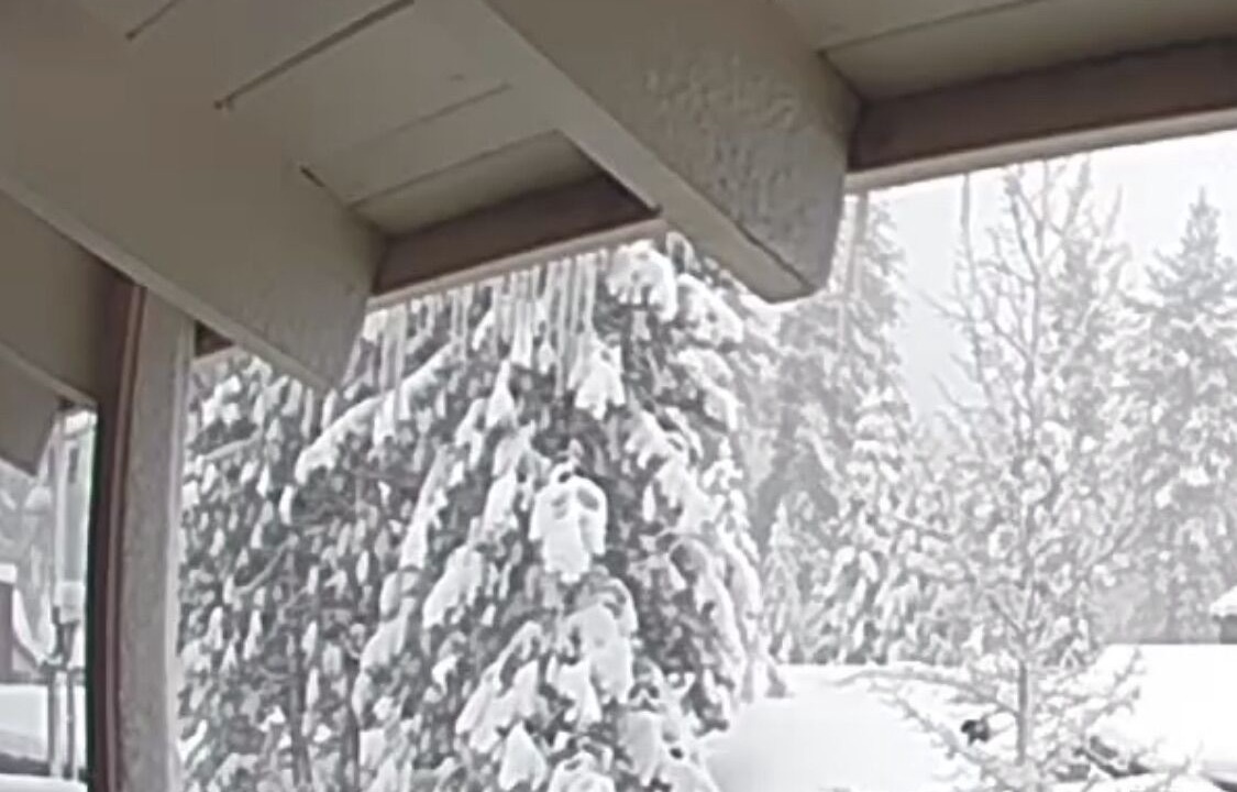 Photo of Outdoor in Tahoya Shores