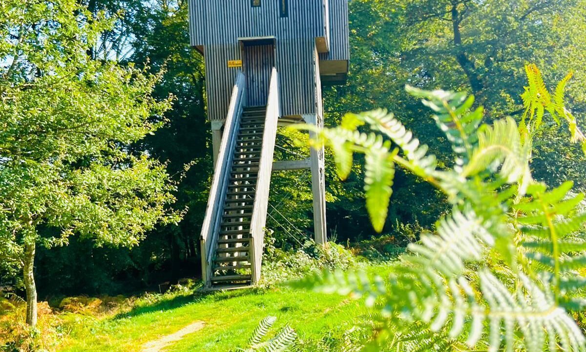 Photo of Outdoor in Saint-Sever-Calvados