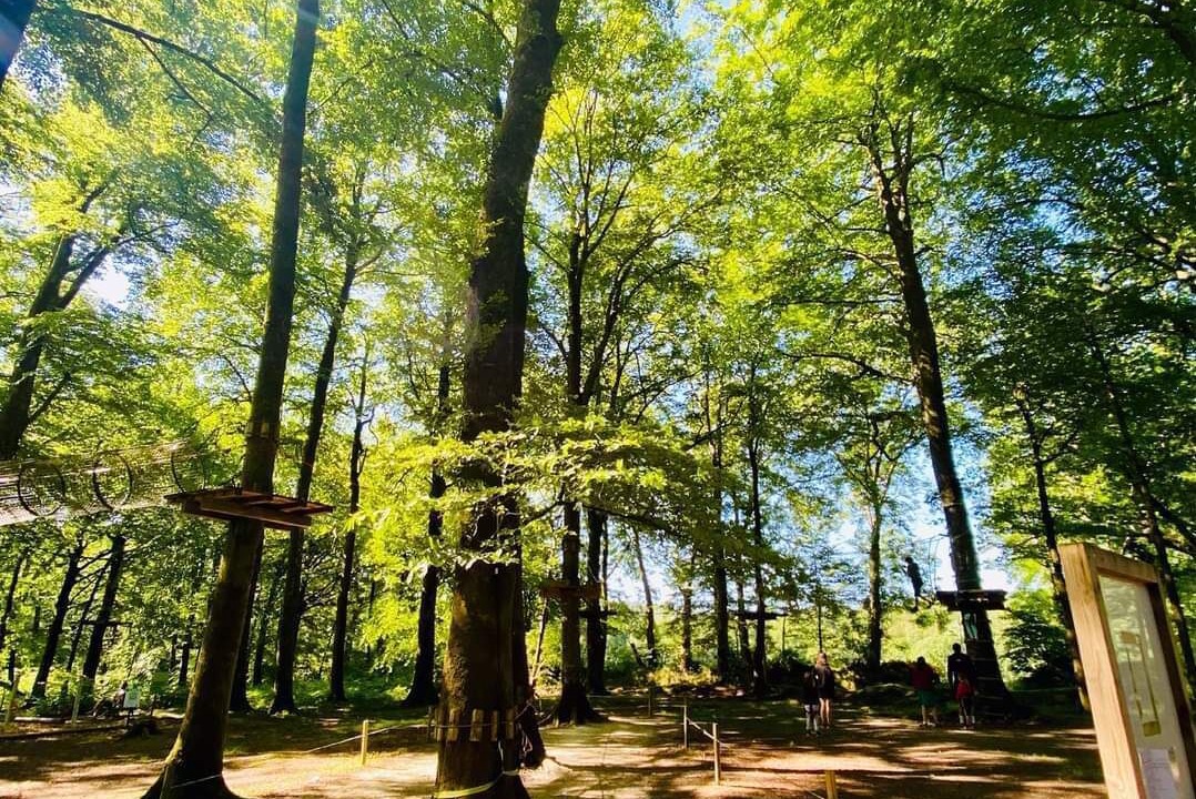 Photo of Outdoor in Saint-Sever-Calvados