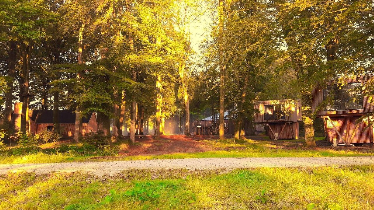 Photo of Outdoor in Saint-Sever-Calvados