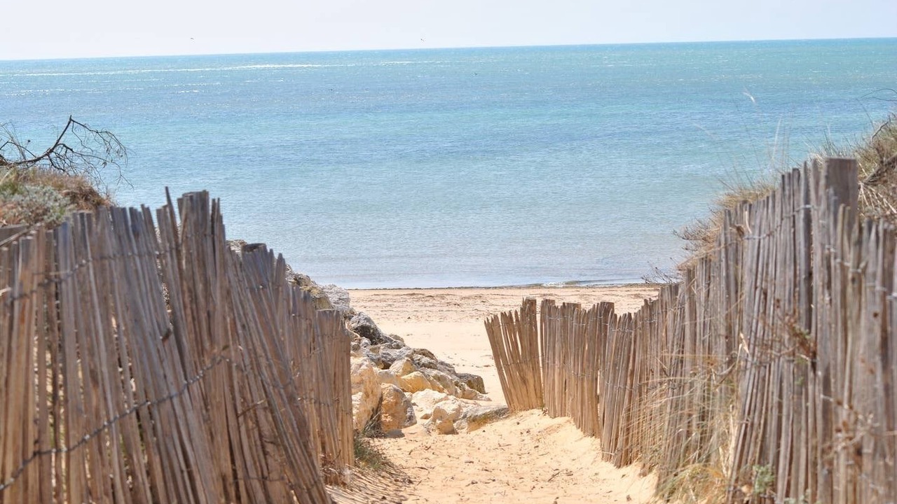 Photo of Others in Saint-Pierre-d'Oleron