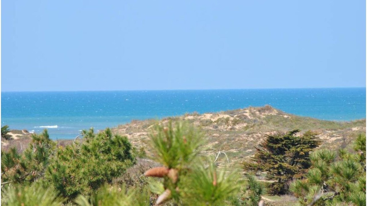 Photo of Others in Saint-Pierre-d'Oleron