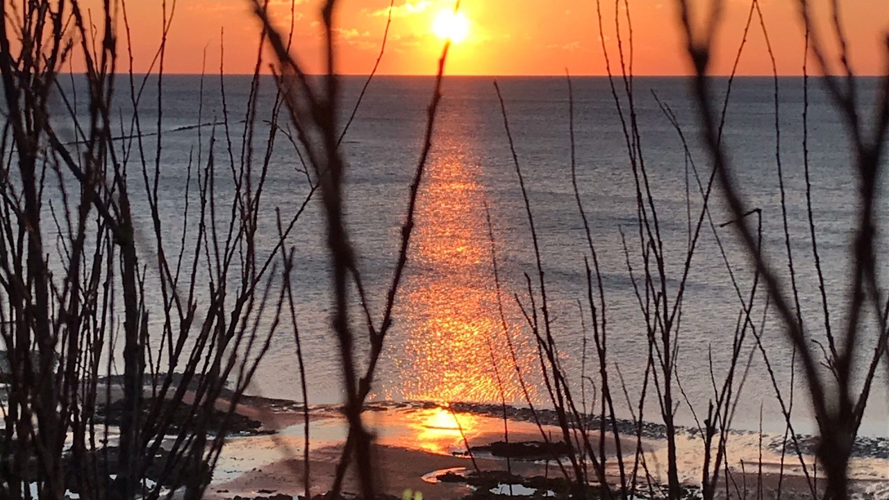 Photo of Others in Saint-Pierre-d'Oleron