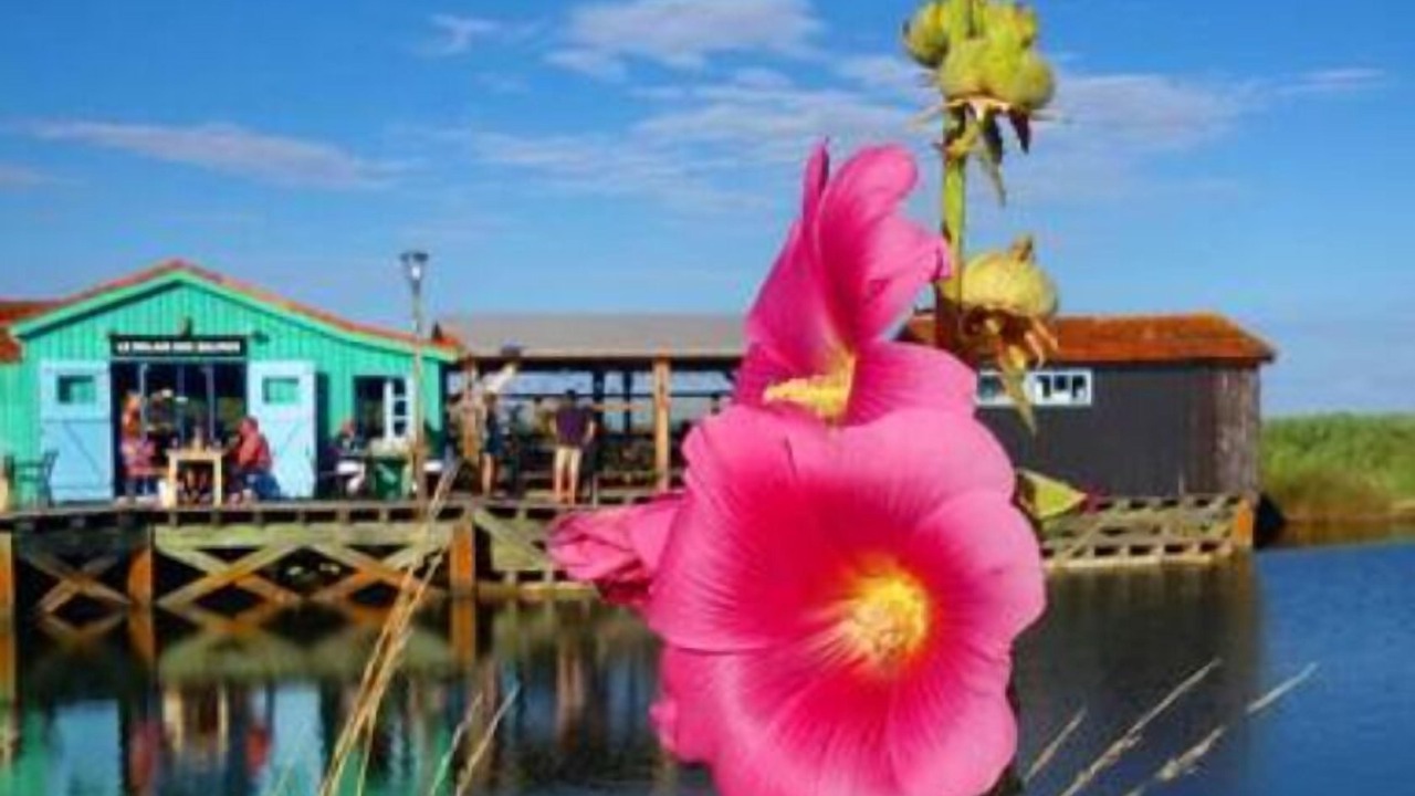 Photo of Outdoor in Saint-Pierre-d'Oleron