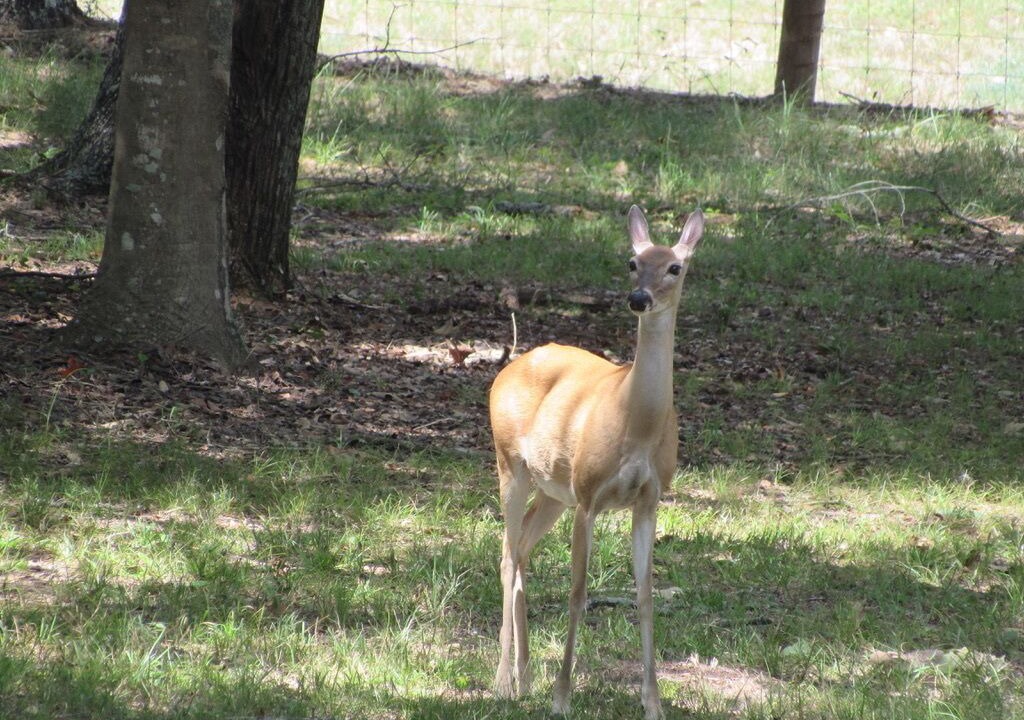 Photo of Others in Waller