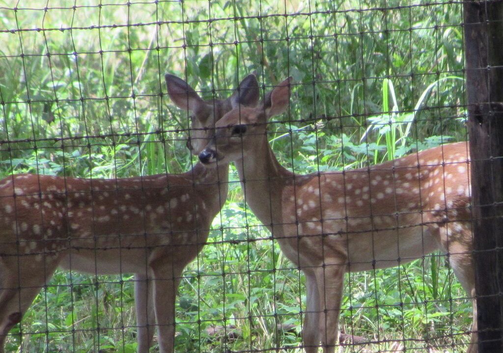Photo of Others in Waller