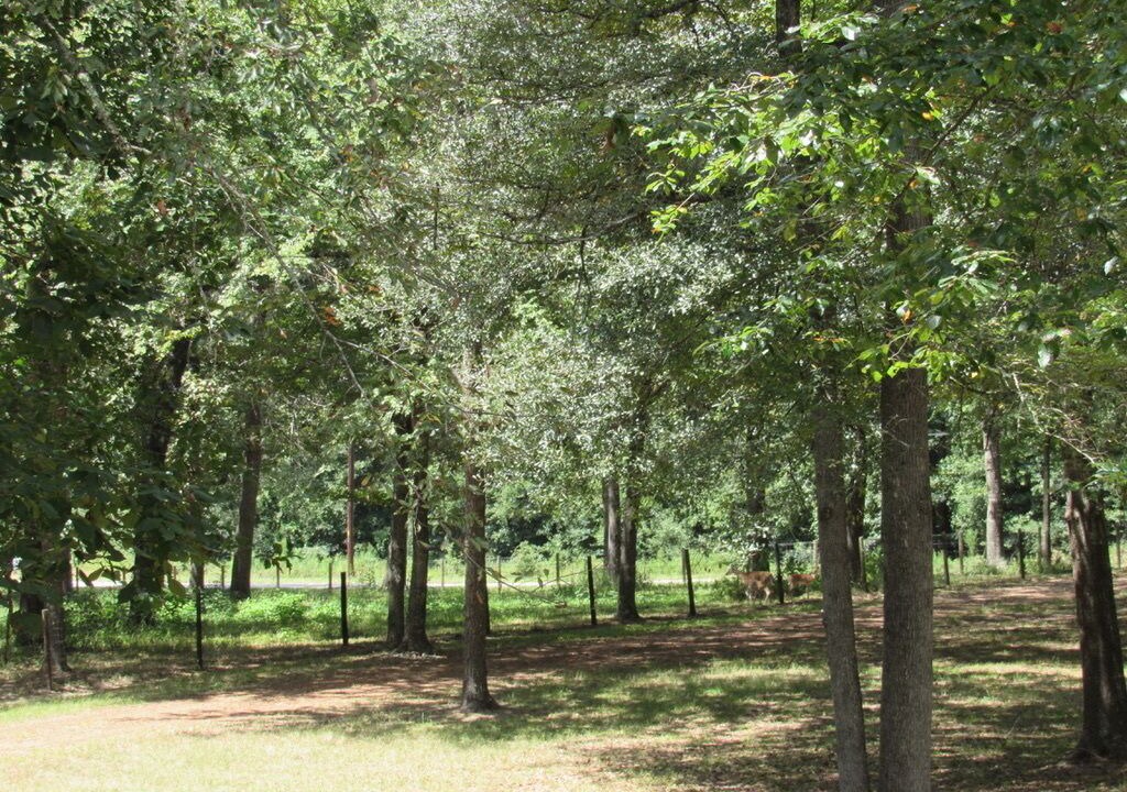 Photo of Others in Waller