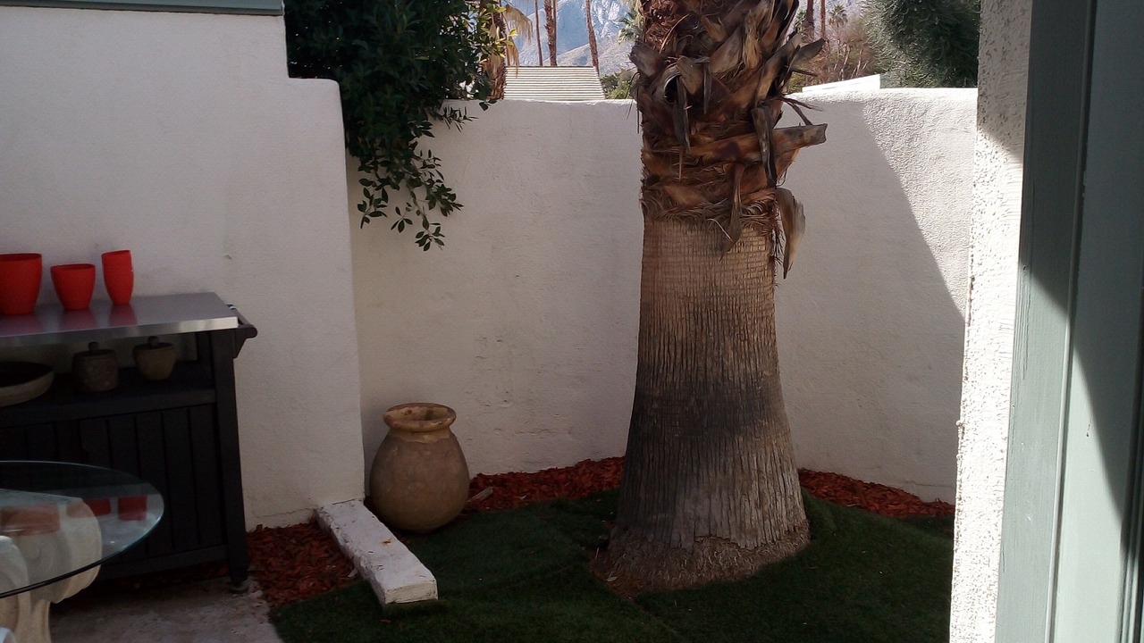 Photo of Outdoor in Sunrise Villas