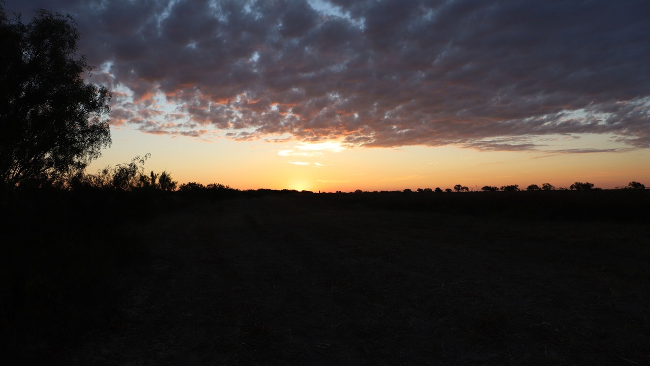 Photo of Outdoor in Hondo