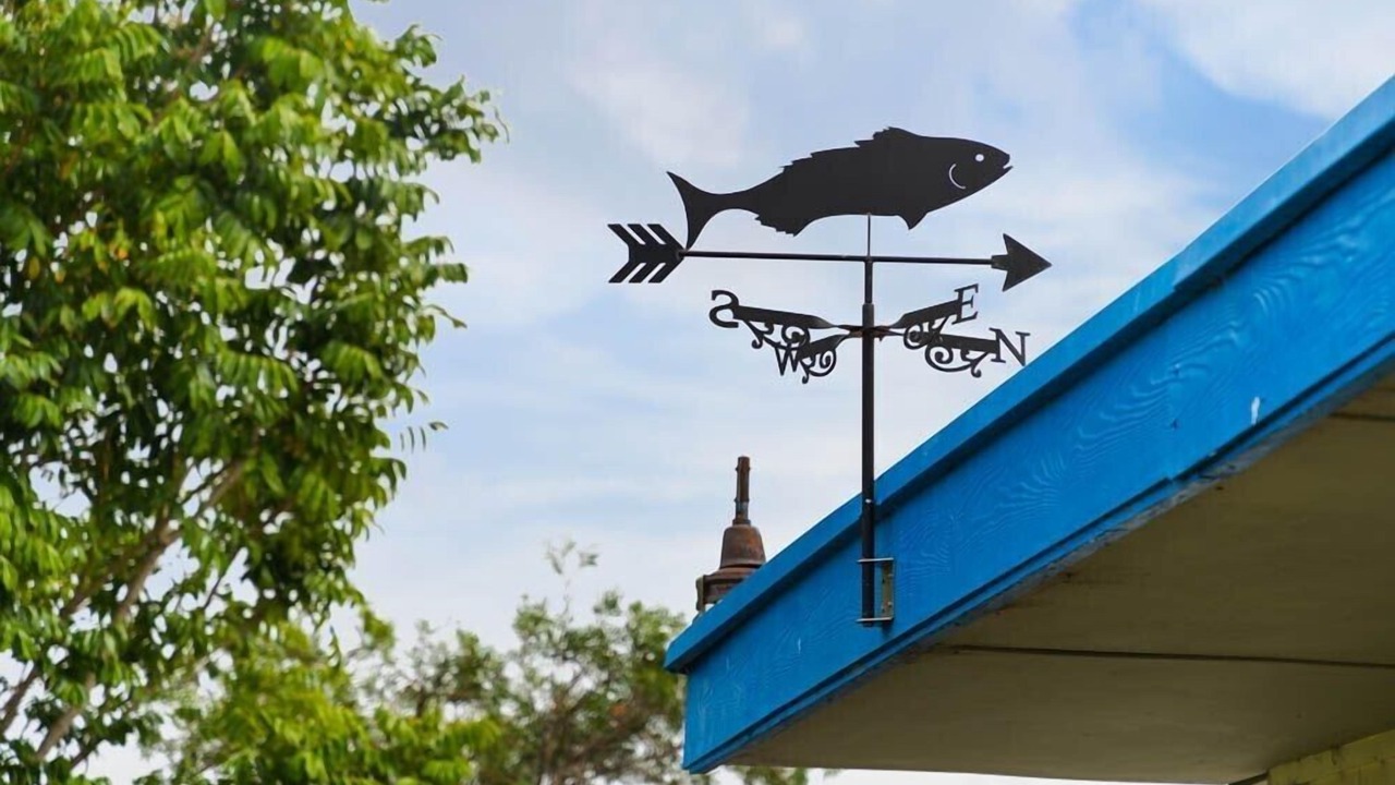 Photo of Others in Mallacoota