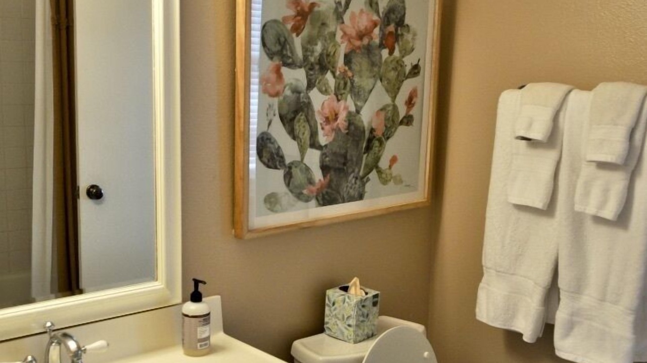 Photo of Bathroom in Travis Heights