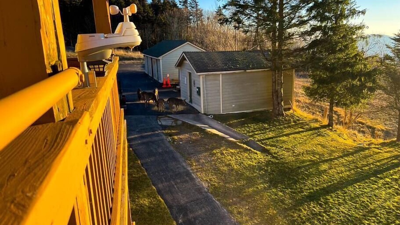 Photo of Outdoor in Edray