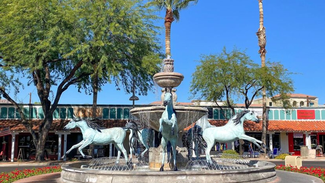 Photo of Others in South Scottsdale