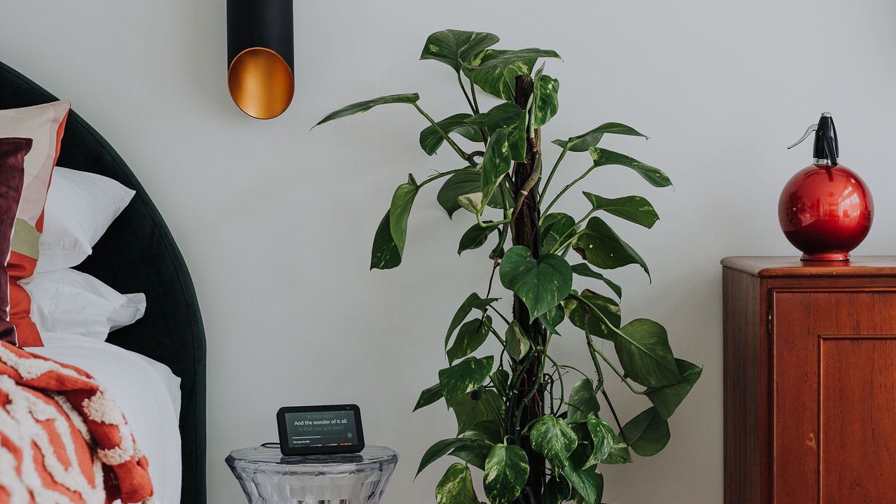 Photo of Bedroom in Terrigal