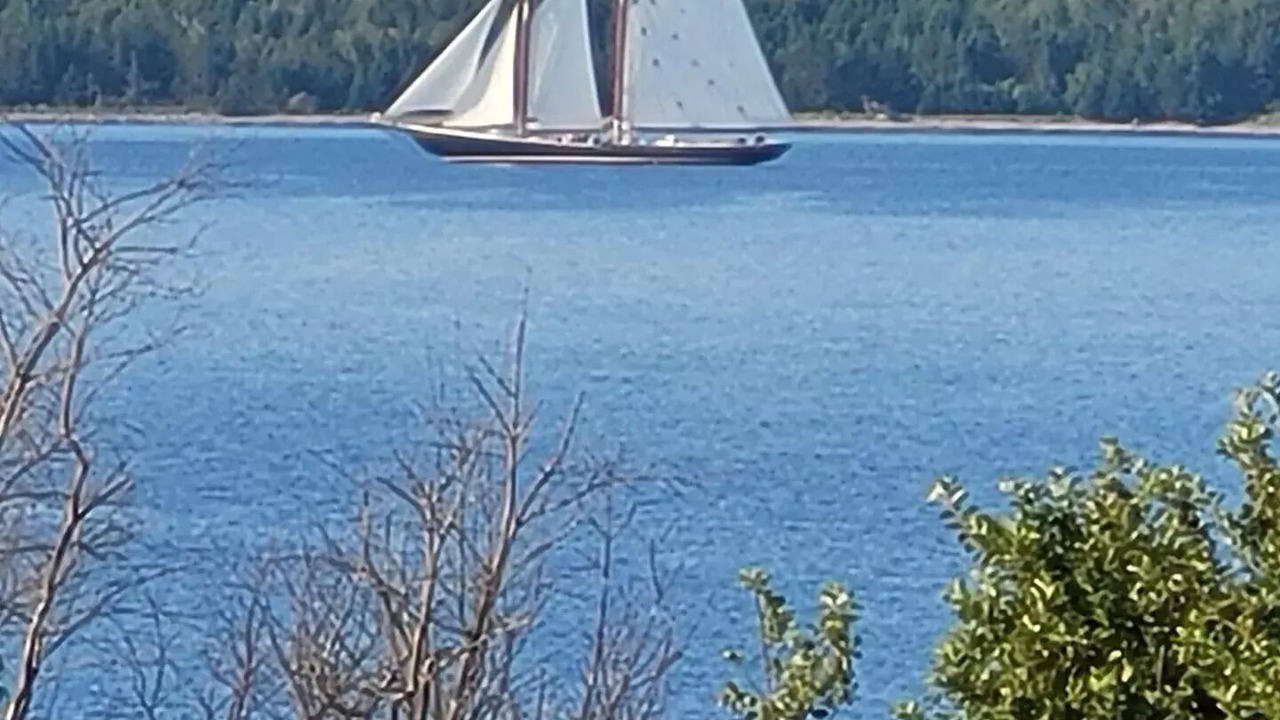 Photo of Others in Feltzen South