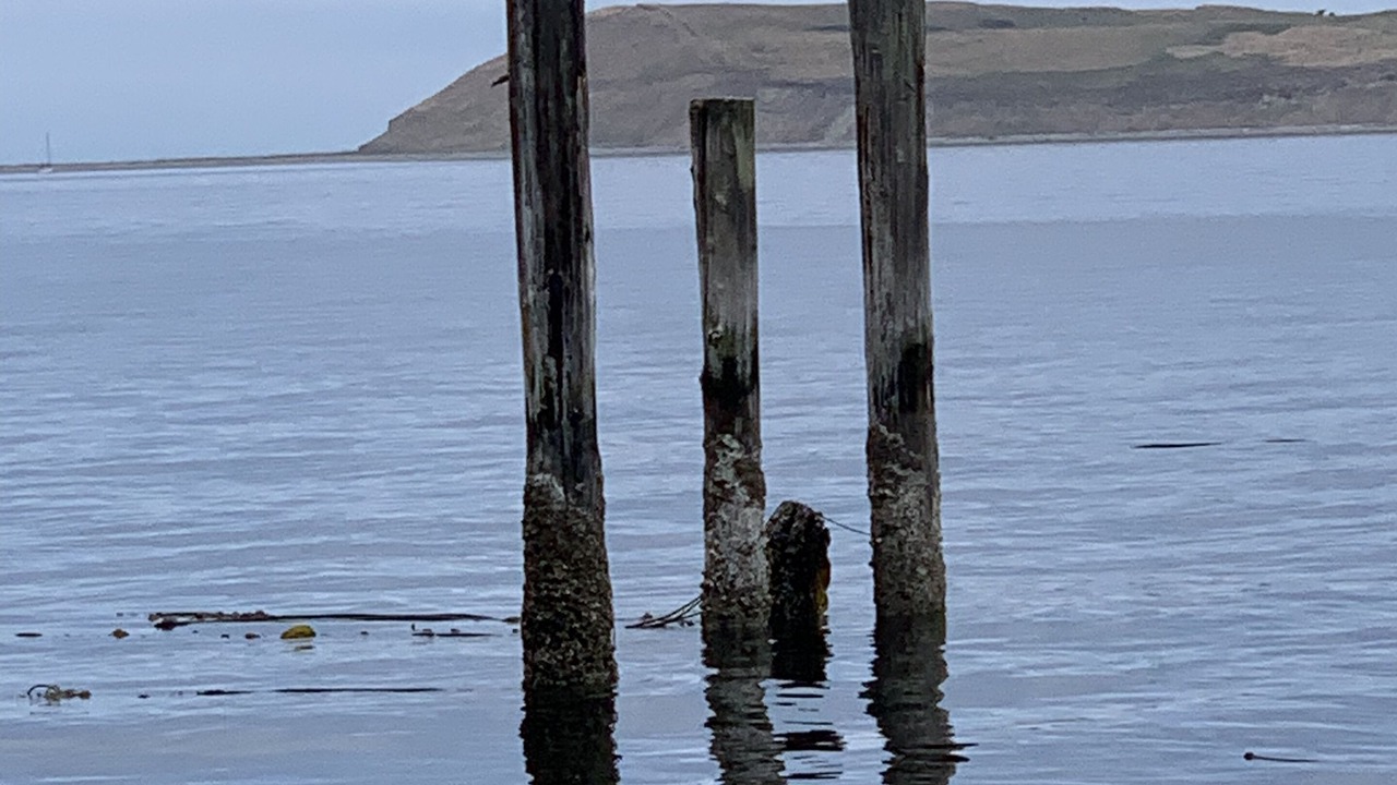 Photo of Others in Diamond Point