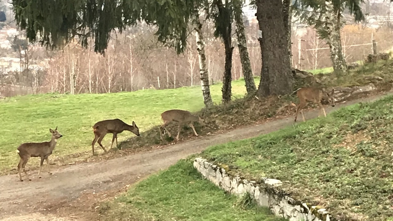Photo of Outdoor in Aste
