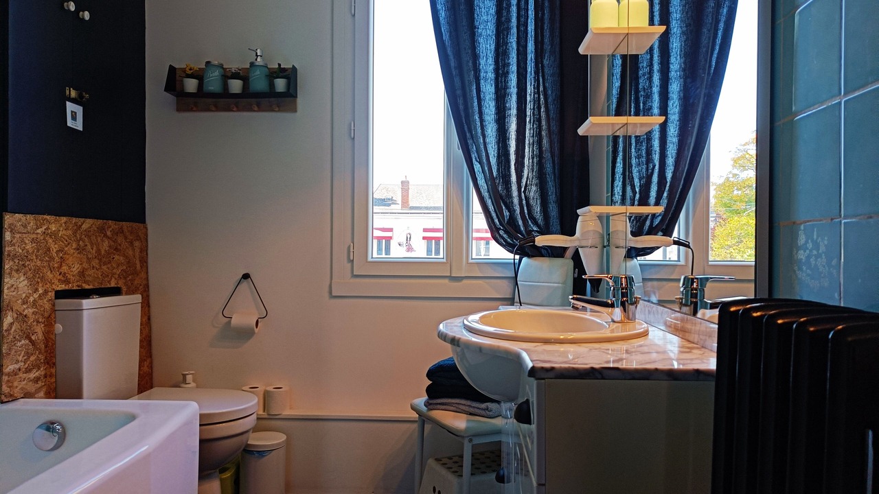 Photo of Bathroom in Tours