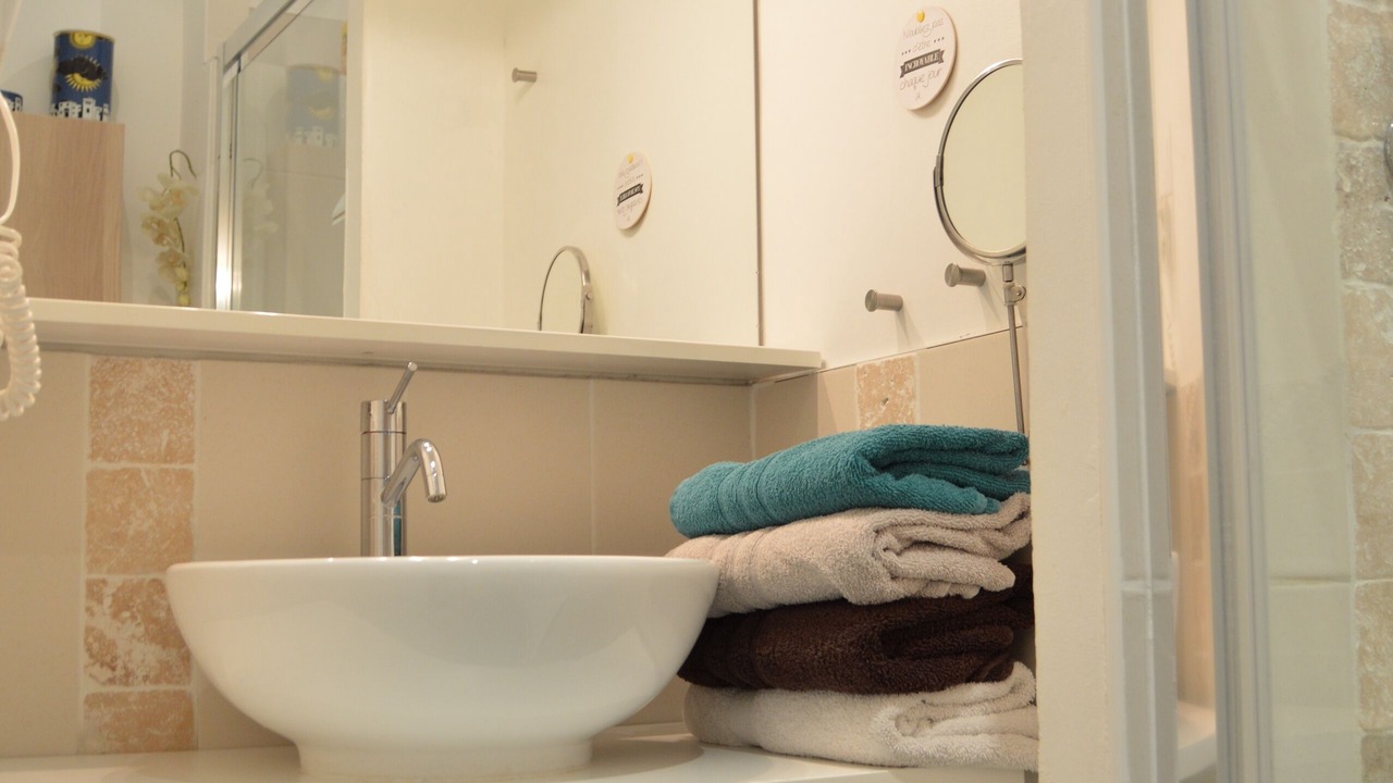 Photo of Bathroom in Tours